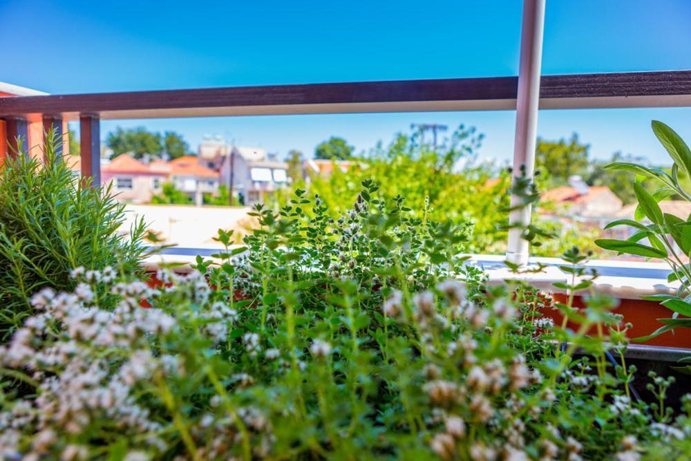 Koukounari Living Spaces Preveza Exteriör bild